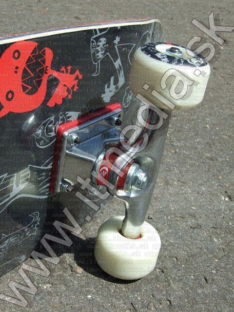 Image of Extreme SkateBoard Frenzy (IT4614)